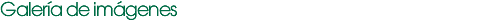 Galería de imágenes